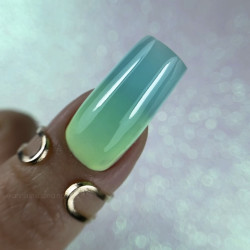 Premium Gel 11 Nailsoftheday, 15 gr