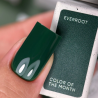 Esmalte Semipermanente Let's special Everroot  NAILSOFTHEDAY, Verde oscuro, 10ml
