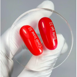 Bottle Gel 22 NAILSOFTHEDAY con pincel, 10 ml