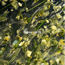 Builder Gel 98 Flower NAILSOFTHEDAY, gel constructorcon flores secas, 15 ml