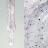 Potal Base 37 NAILSOFTHEDAY, Milky con Copos Violeta y Plata,10 ml