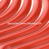 Esmalte Semipermanente Carrot [Morkva] 219, Naranja Zanahoria,10ml