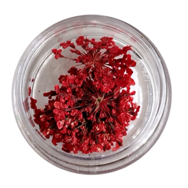 Flores Secas para decoración de uñas, Rojo