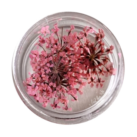Flores Secas para decoración de uñas, Rosa
