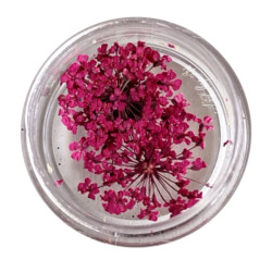 Flores Secas para...