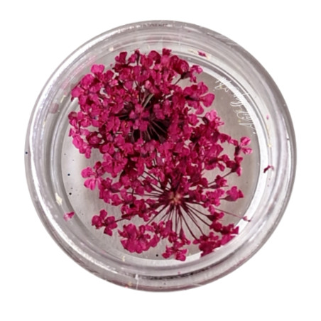 Flores Secas para decoración de uñas, Rosa Fucsia