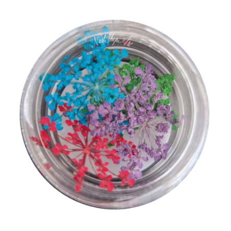 Flores Secas para decoración de uñas, Mix01