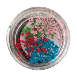 Flores Secas para...