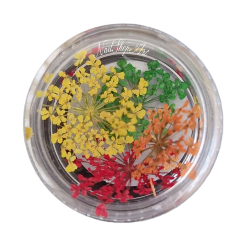 Flores Secas para decoración de uñas, Mix04