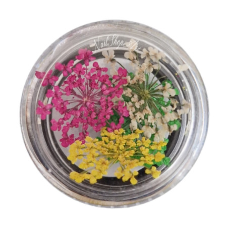 Flores Secas para decoración de uñas, Mix06