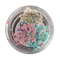 Flores Secas para...