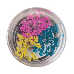 Flores Secas para...