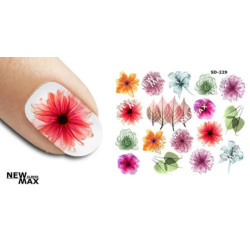 Pegatina al agua colorida...