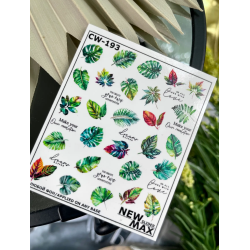 Pegatina al agua colorida...