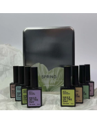 Let's special SPRING 2024-2025