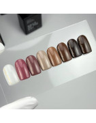 Let's special Chocolate suizo